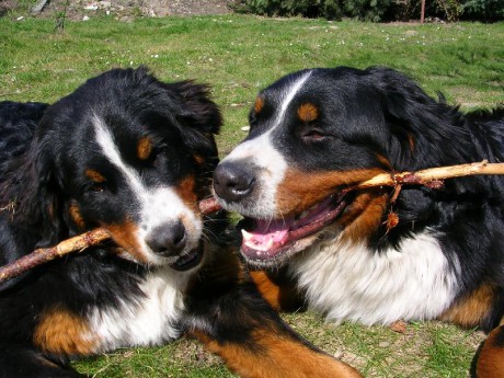 d8cbee7dff_10969875_o2